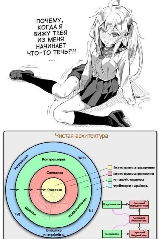 Аниме-девушка с фразой про то, что из неё начинает что-то течь, и схема «Чистая архитектура» снизу.
