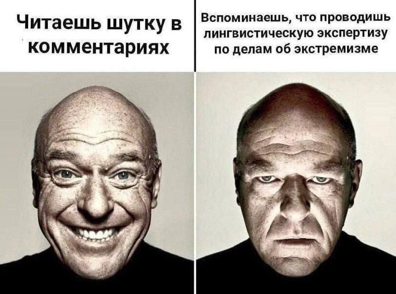 Читаешь шутку в комментариях, вспоминаешь про экспертизу Мем с лысым мужчиной, который читает шутку в комментариях, а потом вспоминает, что проводит лингвистическую экспертизу по делам об экстремизме.