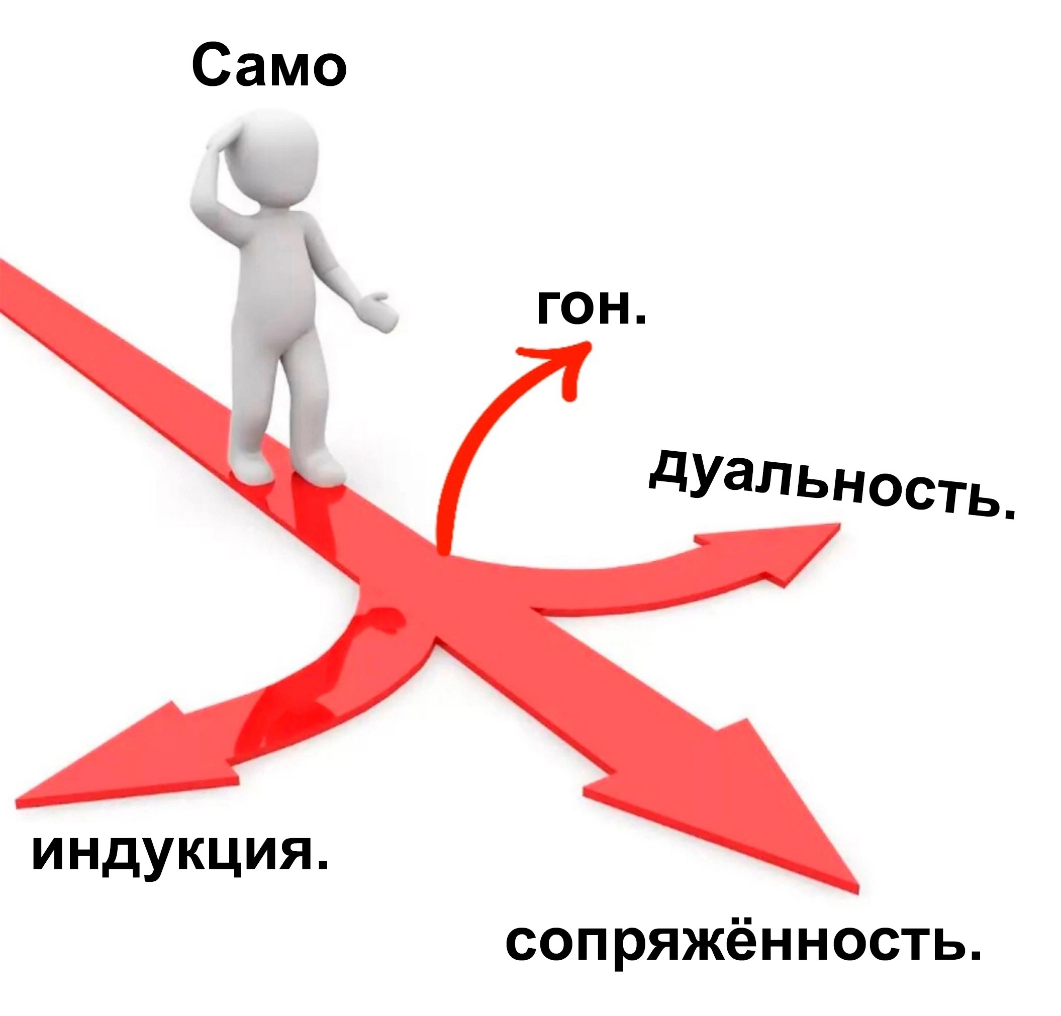 Выбор пути "Самогон. дуальность. индукция. сопряжённость." Человечек на перекрестке с указателями "Само", "гон.", "дуальность.", "индукция.", "сопряжённость."