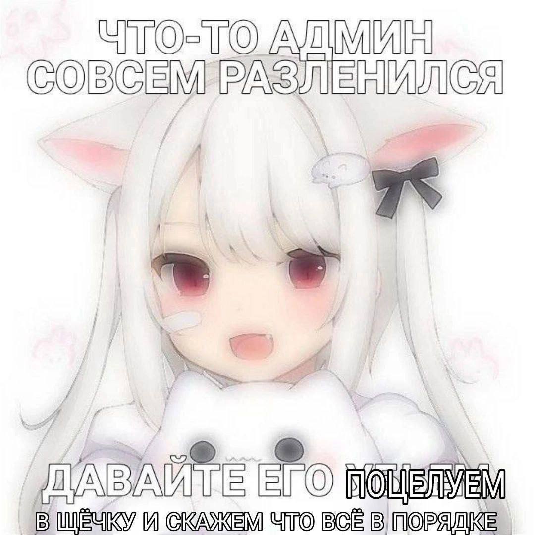 Аниме-девочка с белыми волосами и ушками с надписью про админа, которого предлагают поцеловать в щёчку и сказать, что всё в порядке