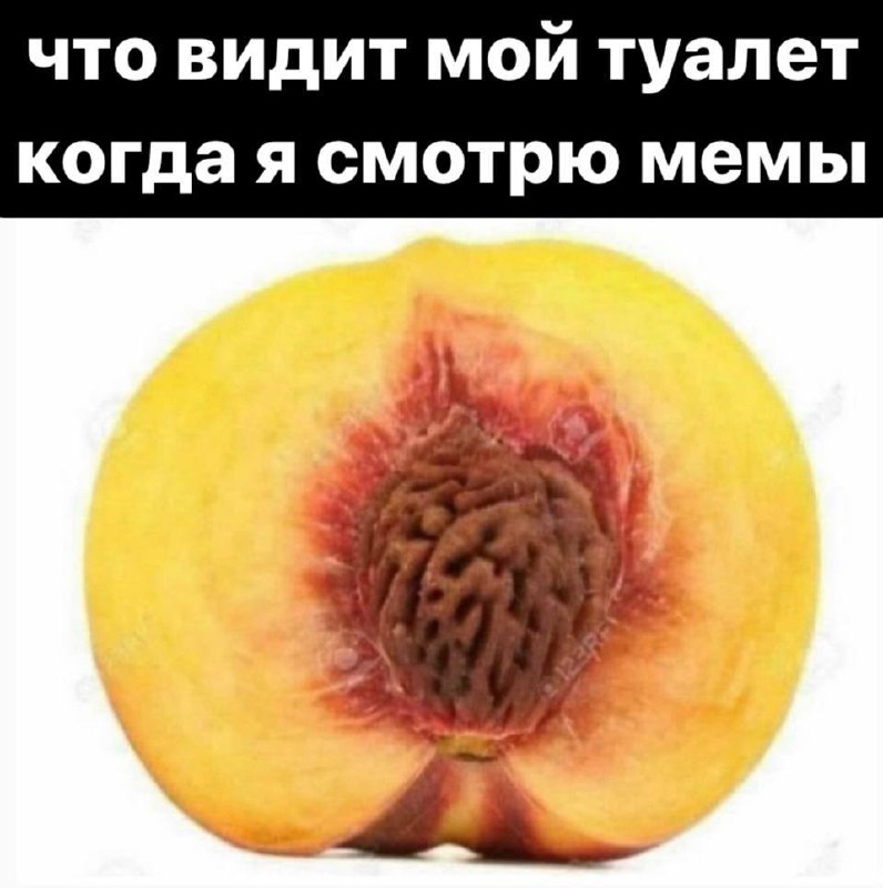 Что видит мой туалет когда я смотрю мемы Что видит мой туалет когда я смотрю мемы, персик