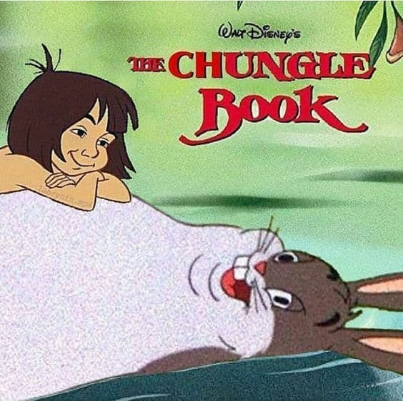 Chungle Book Мем, где Багз Банни в образе Балу, а Маугли лежит на нем