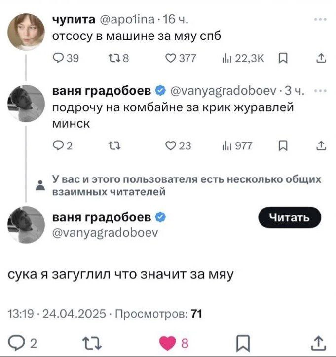 Чупита и Ваня Градобоев за мяу Скриншот с двух сообщений из Твиттера. Пользовательница по имени «Чупита» пишет о нецензурном предложении, а пользователь «Ваня Градобоев» отвечает на это, и после гуглит значение слова «мяу» из её предложения