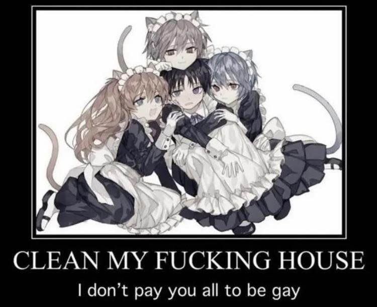 Clean my fucking house Мем "Clean my fucking house I don't pay you all to be gay" с четырьмя парнями-котами в костюмах горничных
