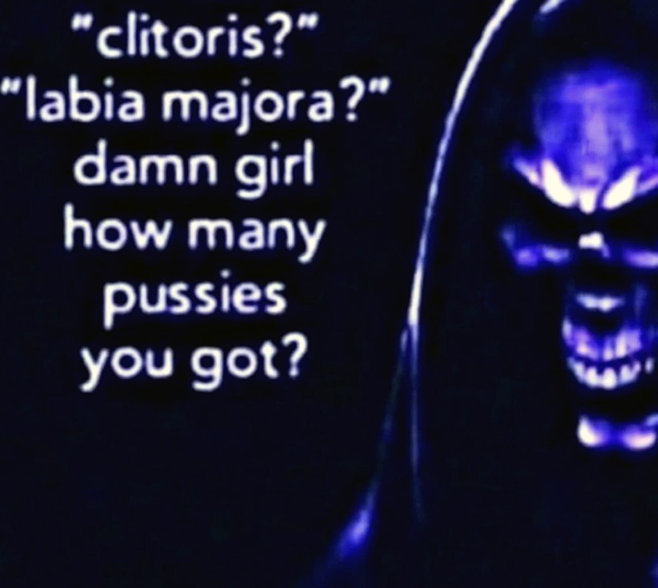 Clitoris labia majora how many pussies you got Череп в капюшоне и надпись: "Clitoris? Labia majora? Damn girl, how many pussies you got?"