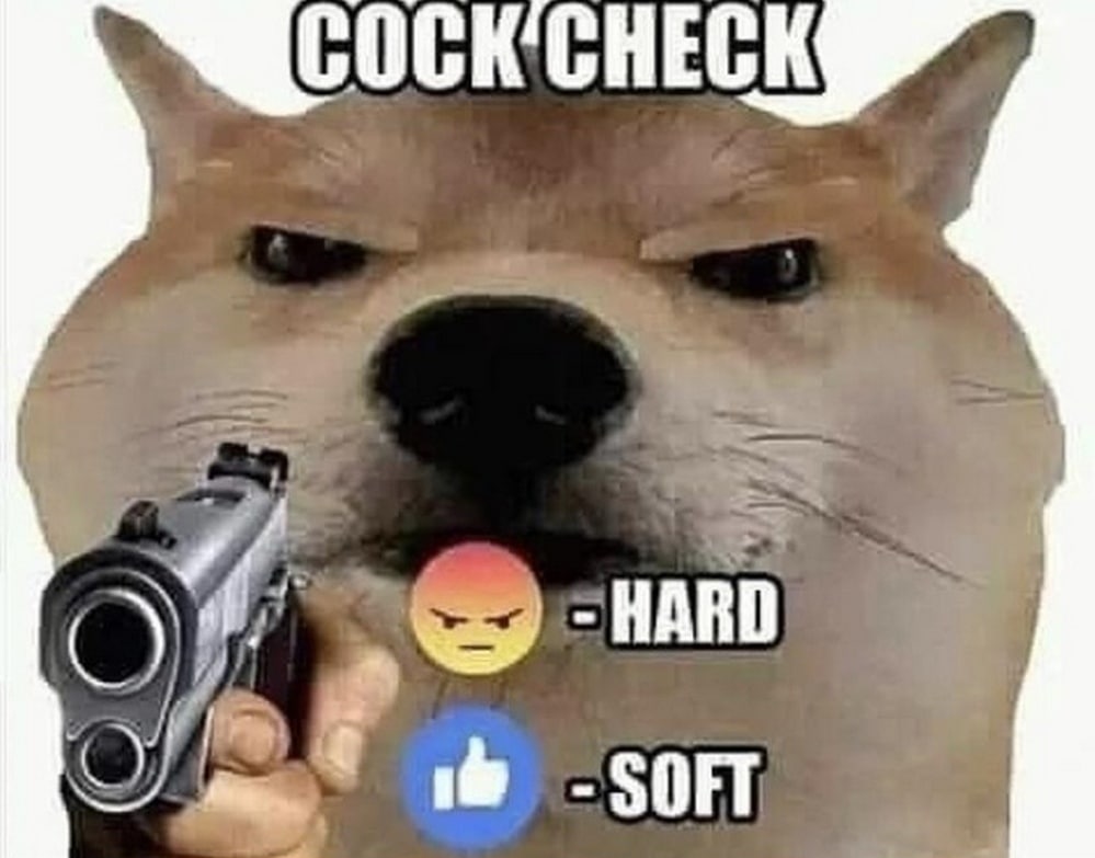 COCK CHECK Doge с пистолетом Мем с Doge с пистолетом и надписью COCK CHECK, где эмодзи обозначают hard или soft
