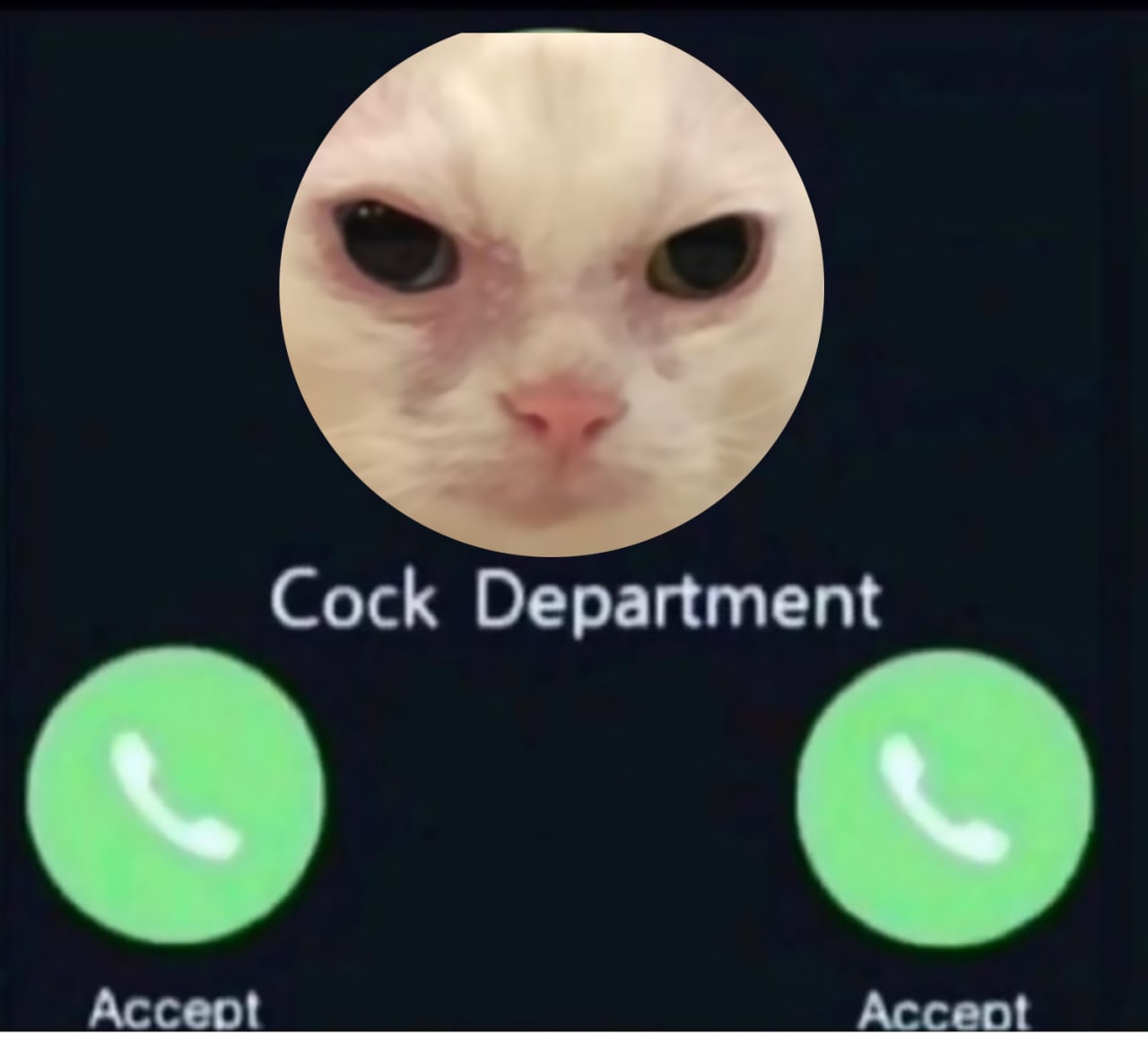 Звонок из отдела по членам Мем с котом в кружочке и надписью "Cock Department" на экране телефона, с двумя кнопками "Accept"