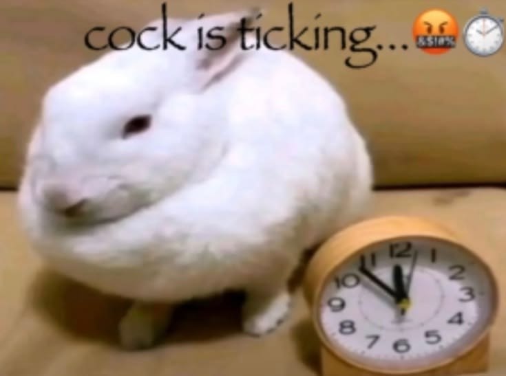 Белый кролик сидит рядом с часами, а сверху написано «cock is ticking...» — абсурдная игра слов с фразой «clock is ticking».