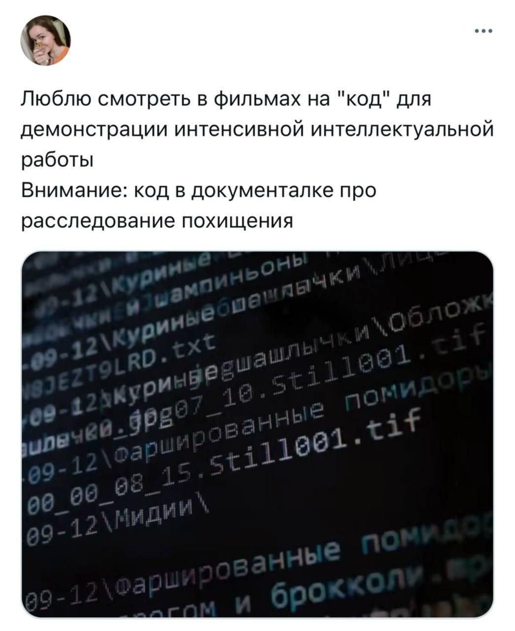 Код в документалке про расследование похищения Девушка сидит, держа в руках кота, и говорит о том, как любит смотреть в фильмах на код, а затем показывает пример такого «кода» в документальном фильме, который на самом деле является списком продуктов.