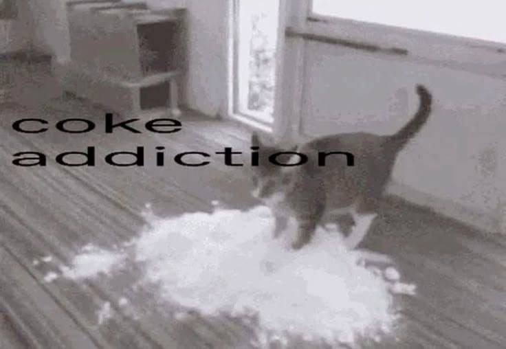 Котёнок с подозрительным интересом нюхает белый порошок: «coke addiction» — «кокаиновая зависимость».