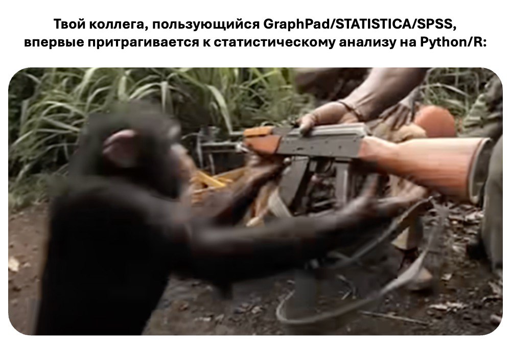 Твой коллега впервые притрагивается к статистическому анализу на Python/R Коллега, который привык к GraphPad/STATISTICA/SPSS, впервые пробует статистический анализ на Python/R и выглядит очень неуверенно, как обезьяна с автоматом.