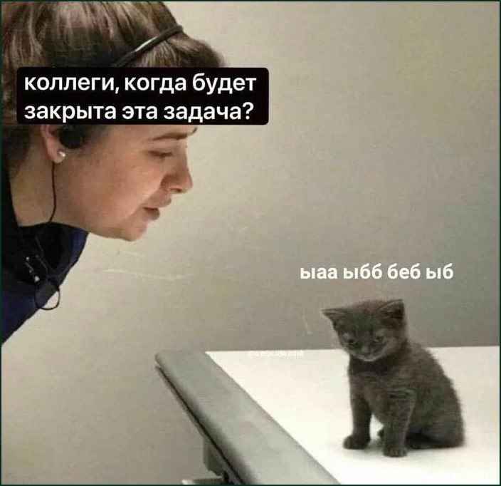 Коллеги, когда будет закрыта эта задача? Девушка задает вопрос котенку о сроках выполнения задачи, а котенок отвечает на своем кошачьем языке.