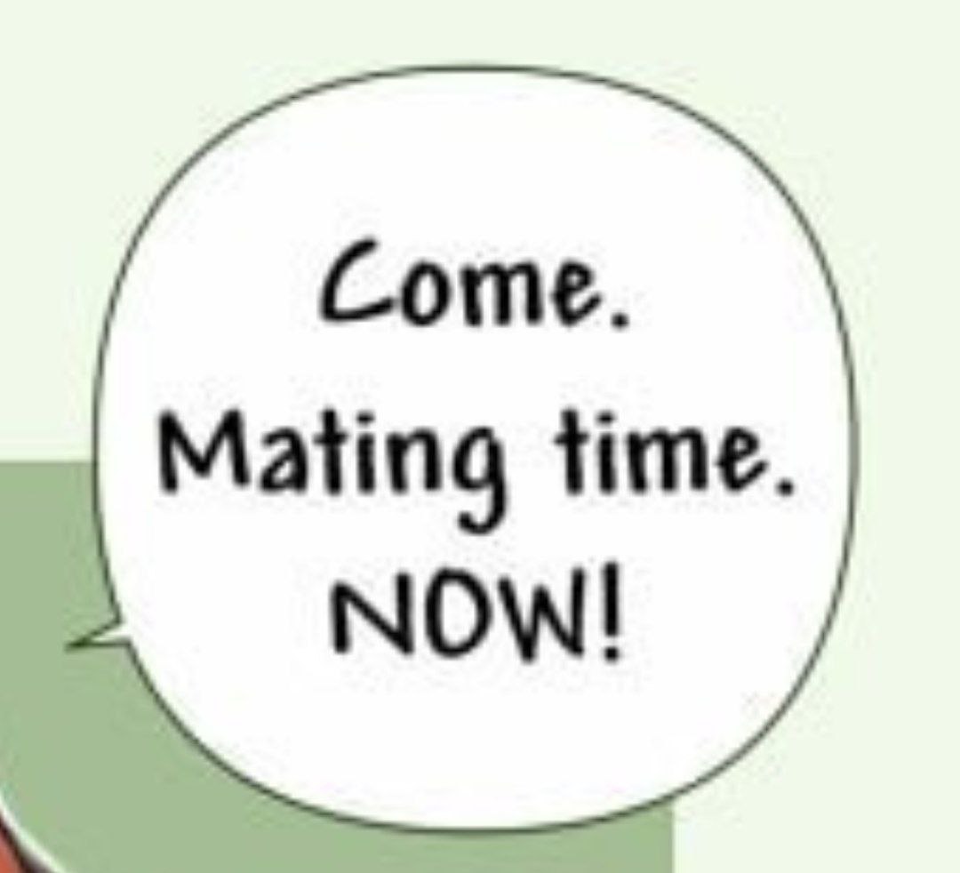 Мем с фразой «Come. Mating time. NOW!»