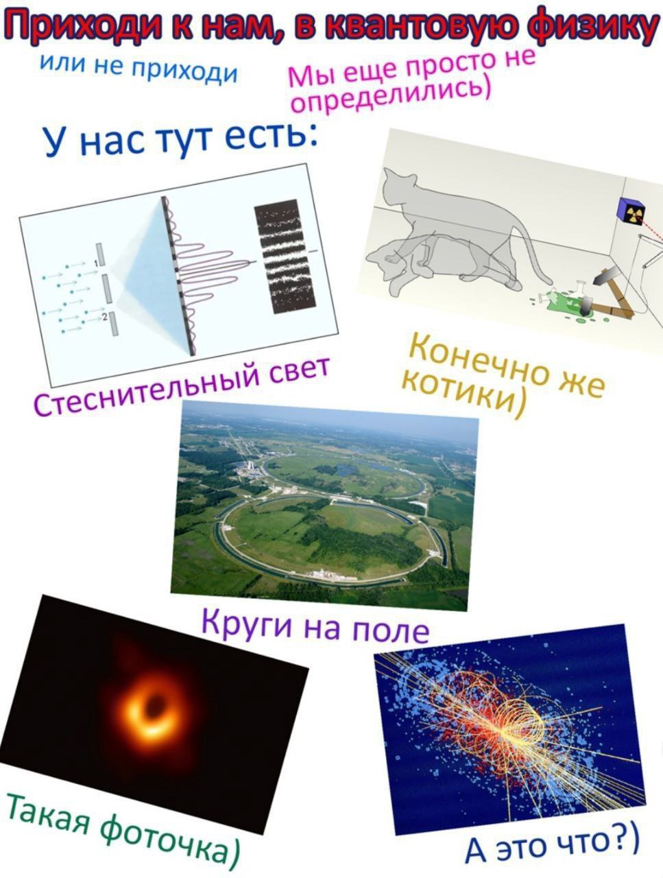 Приходи к нам, в квантовую физику Приглашение в квантовую физику с шутками про кота Шрёдингера и Большой адронный коллайдер