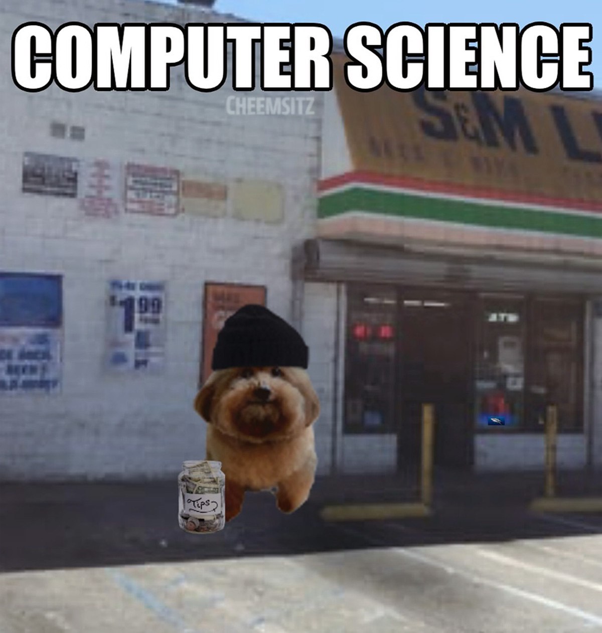 Computer science собака с чаевыми Мем про собачку с шапкой и банкой для чаевых и надписью "Computer Science"