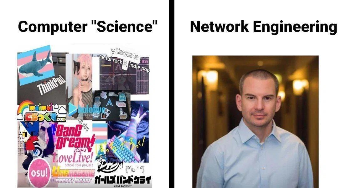 Смешное сравнение студентов Computer Science и Network Engineering: яркий аниме-коллаж против спокойного сетевого инженера.