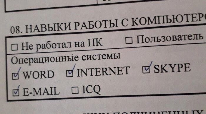 Мем "Навыки работы с компьютером" Бланк с графой "Навыки работы с компьютером", где среди прочих вариантов отмечены "WORD", "INTERNET", "SKYPE" и "E-MAIL", но не "ICQ".