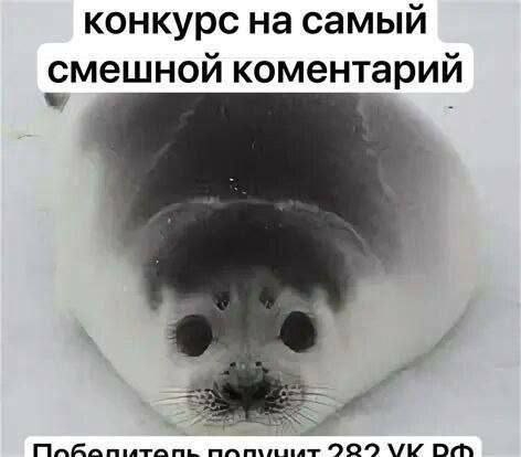 Конкурс на самый смешной комментарий, победитель получит 282 УК РФ