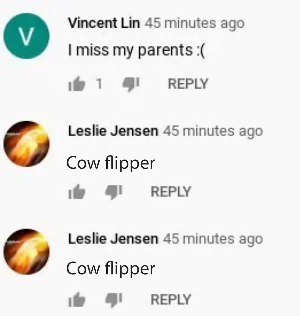 Cow flipper Комментарий Cow flipper под сообщением «Я скучаю по своим родителям»