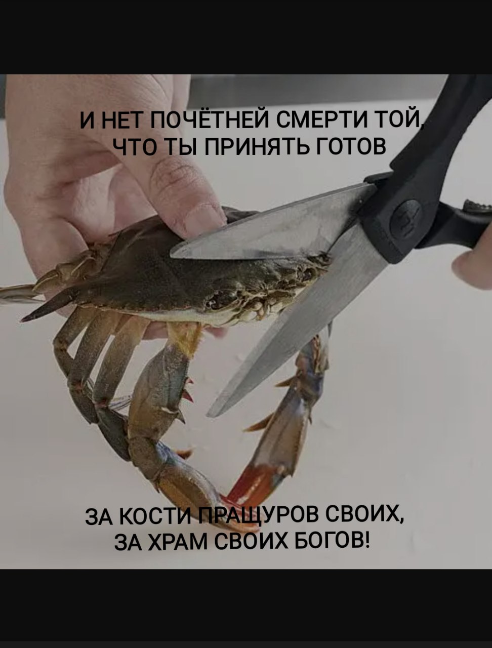Краб и ножницы: И нет почетней смерти той Краб, которого собираются разрезать ножницами, с цитатой из "Бородино"