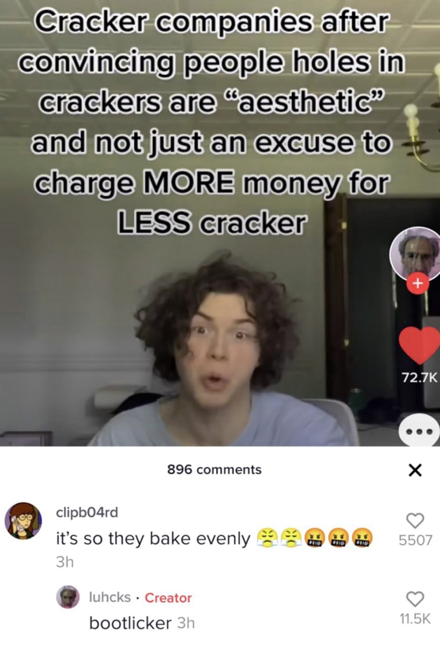 Cracker companies after convincing people holes in crackers are aesthetic Мем про компании, убеждающие, что дырки в крекерах «эстетичны», и комментарий «bootlicker»