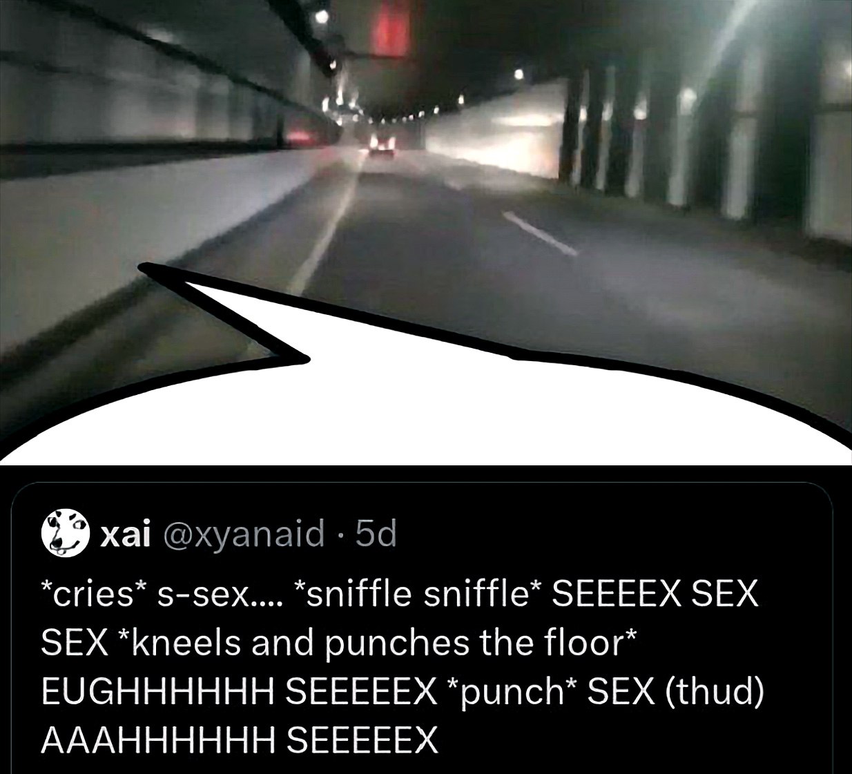 *Cries* s-sex... на фоне туннеля Мем с текстом xai: *cries* s-sex... *sniffle sniffle* SEEEEX SEX SEX *kneels and punches the floor* EUGHHHHHH SEEEEEX *punch* SEX (thud) AAAHHHHHH SEEEEEX на фоне дороги в туннеле.
