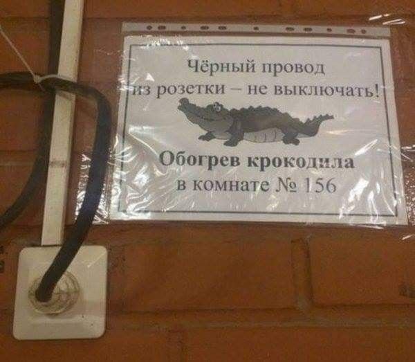 Обогрев крокодила в комнате Объявление с крокодилом и просьбой не выключать чёрный провод из розетки