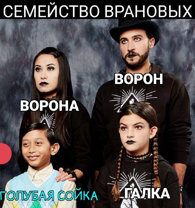 Семейство врановых и голубая сойка Мем про семейство врановых, где ребенок "голубая сойка"
