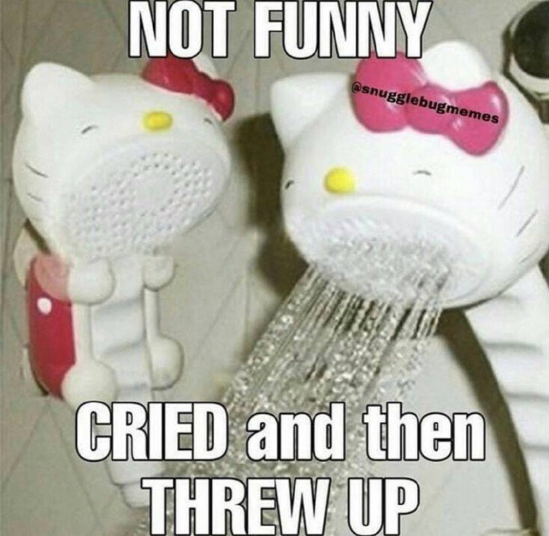 Плачущий душ Hello Kitty Мем с душами Hello Kitty, один из которых плачет, а другой выключен, с надписью "NOT FUNNY CRIED and then THREW UP".