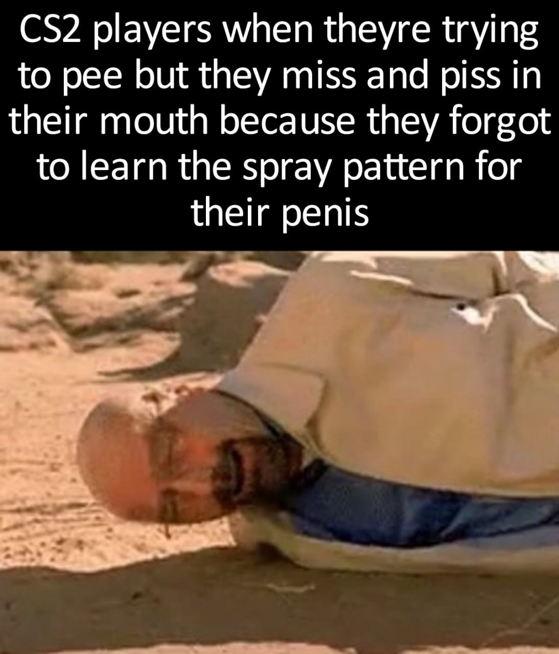 CS2 players when they're trying to pee CS2 игроки пытаются пописать, но промахиваются и писают себе в рот, потому что забыли выучить паттерн разброса для своего пениса.