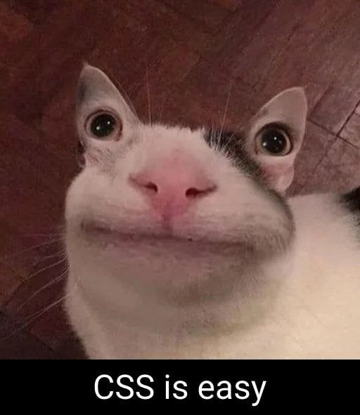 CSS это легко Кот, говорящий «CSS это легко» с необычной перспективы