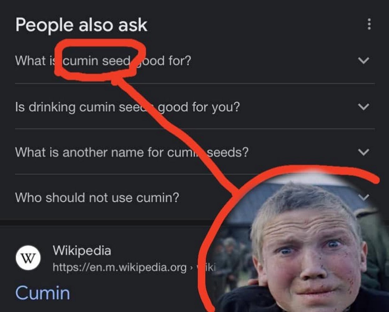 Cumin seed в поиске Google Мем со скриншотом поиска Google по запросу "Cumin seed" и парнем с испуганным выражением лица