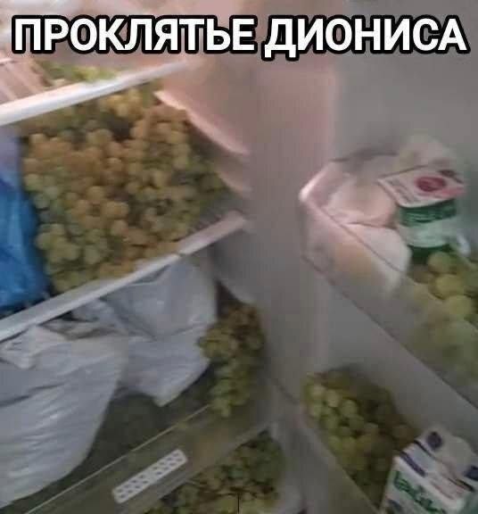 Холодильник, полностью забитый виноградом, с надписью «ПРОКЛЯТЬЕ ДИОНИСА».