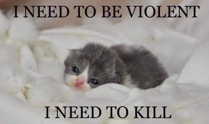 Милый котенок хочет убивать Милый котенок на белом одеяле с надписями «I need to be violent» и «I need to kill»