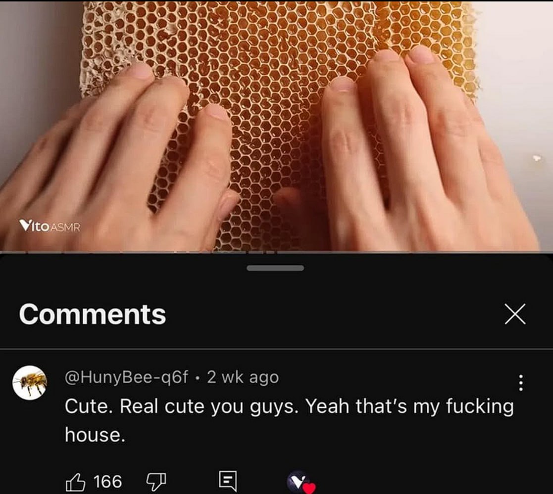 Cute. Real cute you guys. Yeah that's my fucking house Мем, где пчела злится, что люди ломают ее дом – медовые соты.