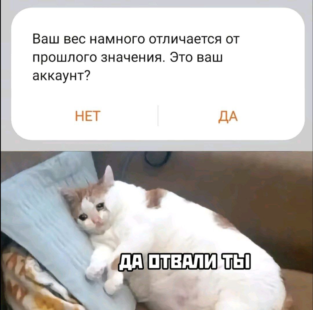Да отвали ты кот и вес Мем про кота, который не хочет признавать, что его вес сильно изменился