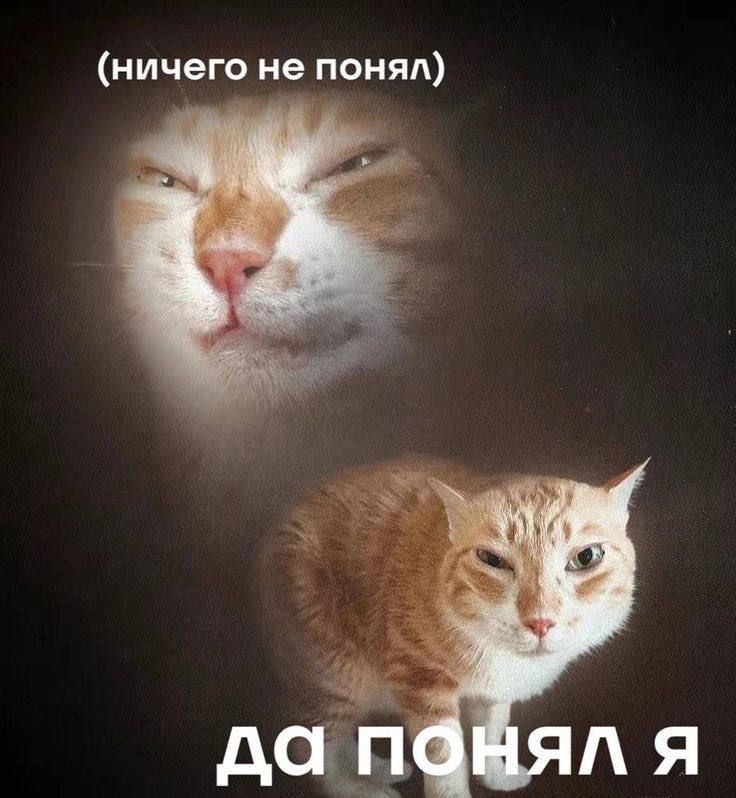 Да понял я На картинке два кота, один наверху с закрытыми глазами, а второй внизу с прищуренными глазами, выражая согласие.