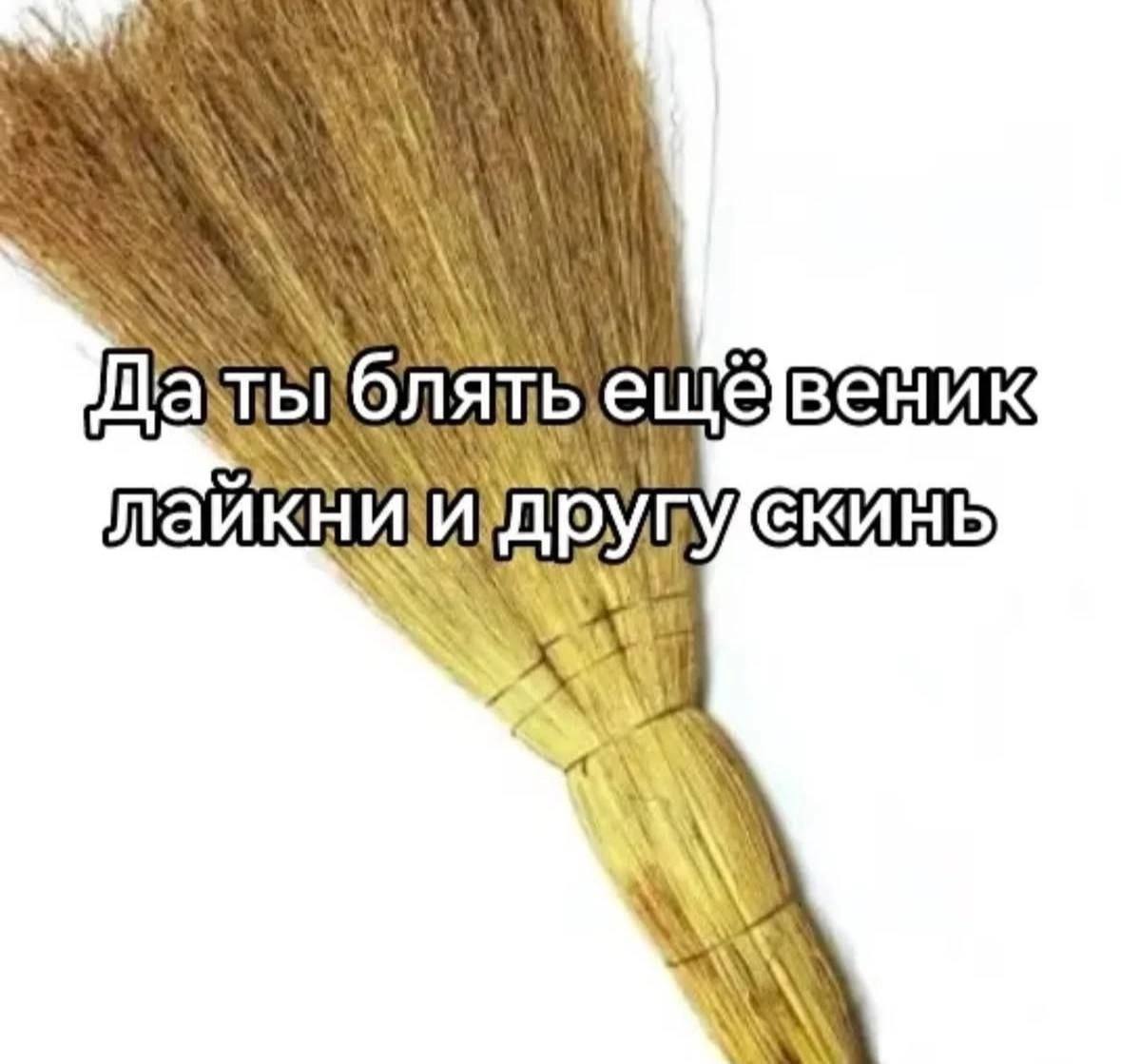Да ты блять ещё веник лайкни Прикол с веником и текстом "Да ты блять ещё веник лайкни и другу скинь"