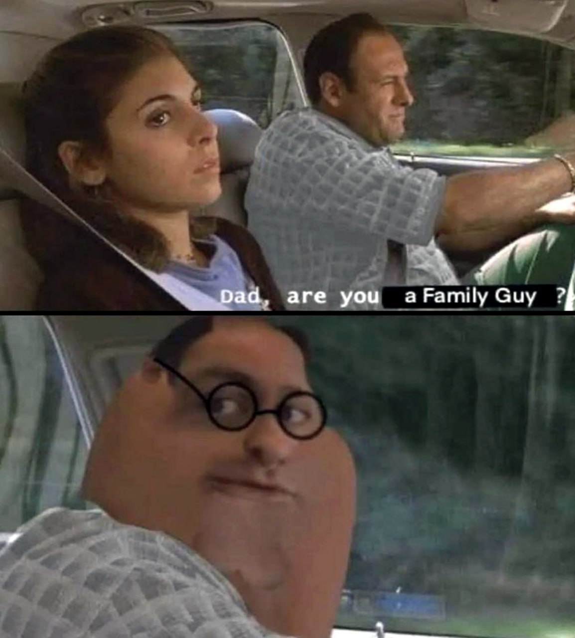 Папа, ты что, Family Guy? Папа, ты что, Гриффин?