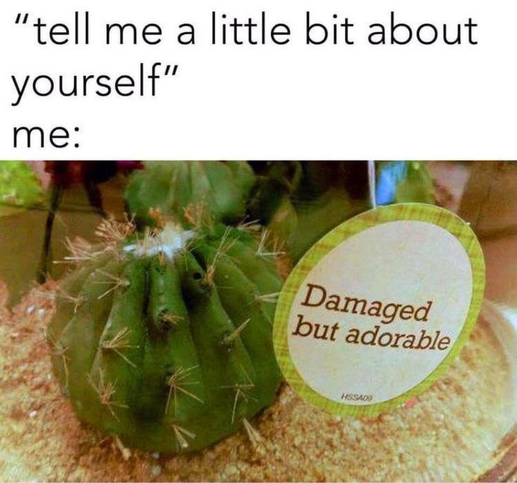 Damaged but adorable Мем с кактусом и надписью «Damaged but adorable»