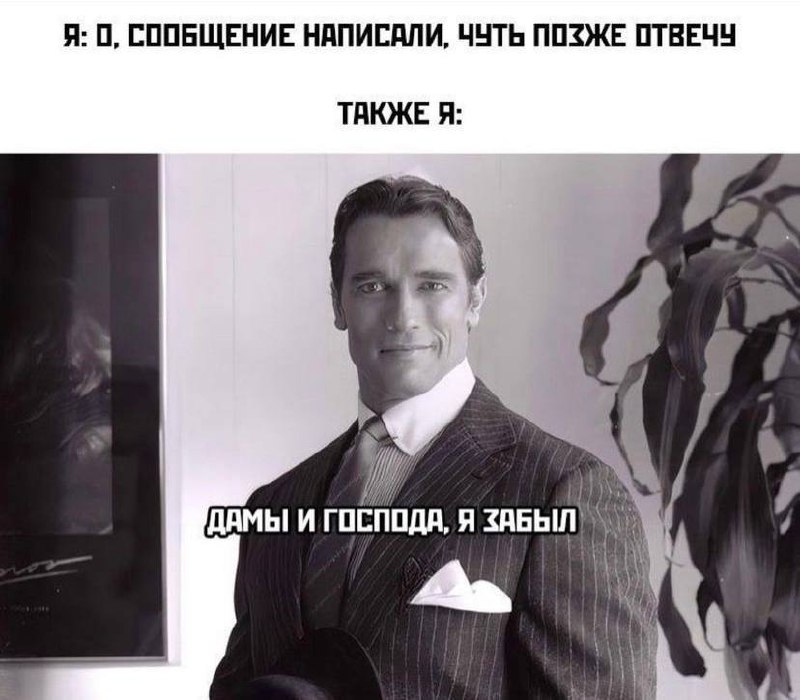 Дамы и господа, я забыл Мем с Арнольдом Шварценеггером и фразой «Дамы и господа, я забыл»