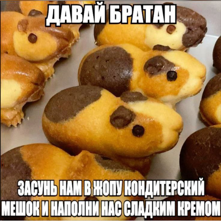 Давай братан засунь нам в жопу кондитерский мешок Мем с изображением пирожных в форме морских свинок, которые просят наполнить их кремом из кондитерского мешка.