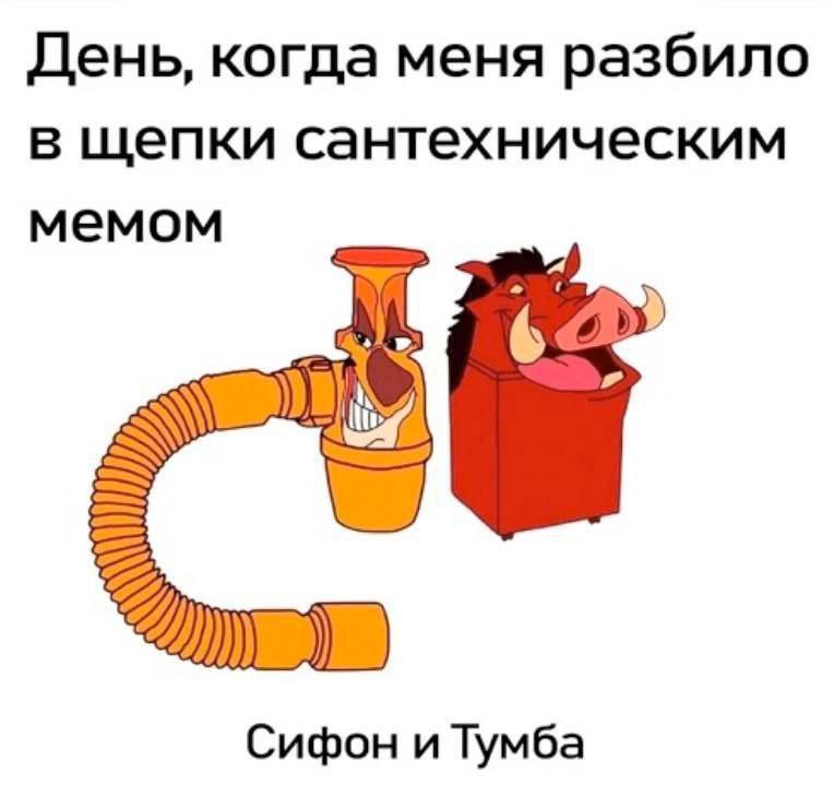 День, когда меня разбило в щепки сантехническим мемом Мем с фразой "День, когда меня разбило в щепки сантехническим мемом" и изображением сифона в виде Тимона и тумбы в виде Пумбы.