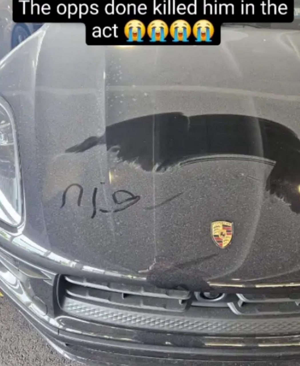 Мертвая мышь на капоте Porsche На грязном капоте автомобиля Porsche лежит мертвая мышь, а на изображении также присутствует надпись «The opps done killed him in the act 😭😭😭😭»