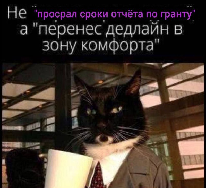 Мем с котом в костюме и надписью "Не "просрал сроки отчёта по гранту", а "перенес дедлайн в зону комфорта""