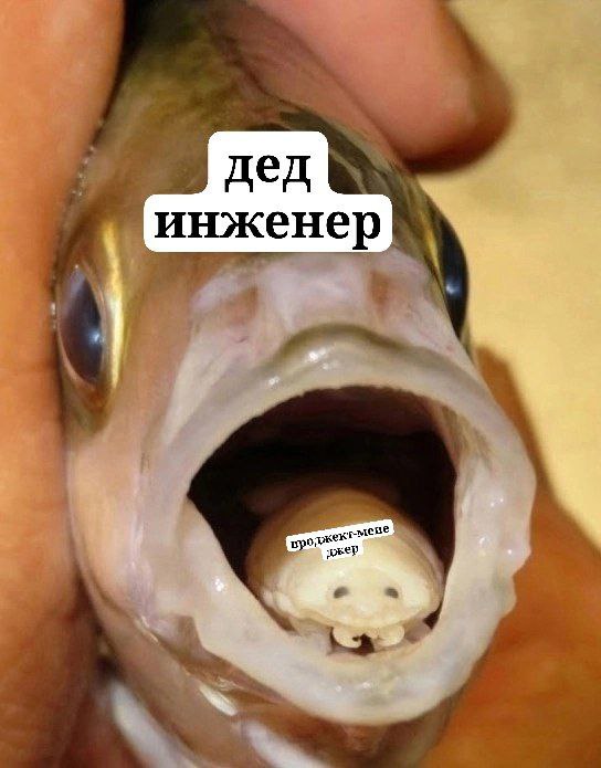 Дед инженер и проджект-менеджер Мем про деда инженера и проджект-менеджера, где рыба символизирует инженера, а паразит внутри ее рта – проджект-менеджера.