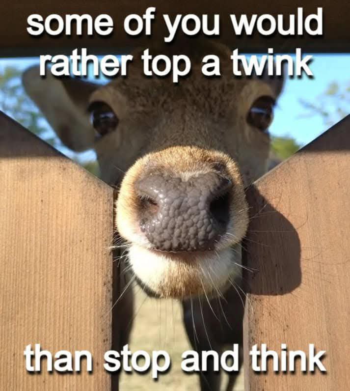Some of you would rather top a twink Олень просовывает морду между столбами забора с надписью "Some of you would rather top a twink than stop and think"