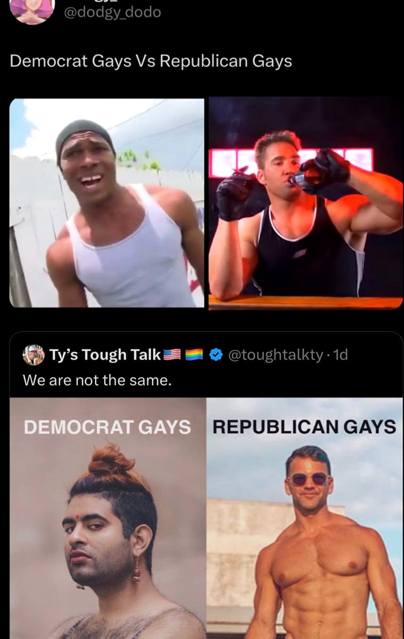 Democrat gays vs republican gays Сравнение геев-демократов и геев-республиканцев