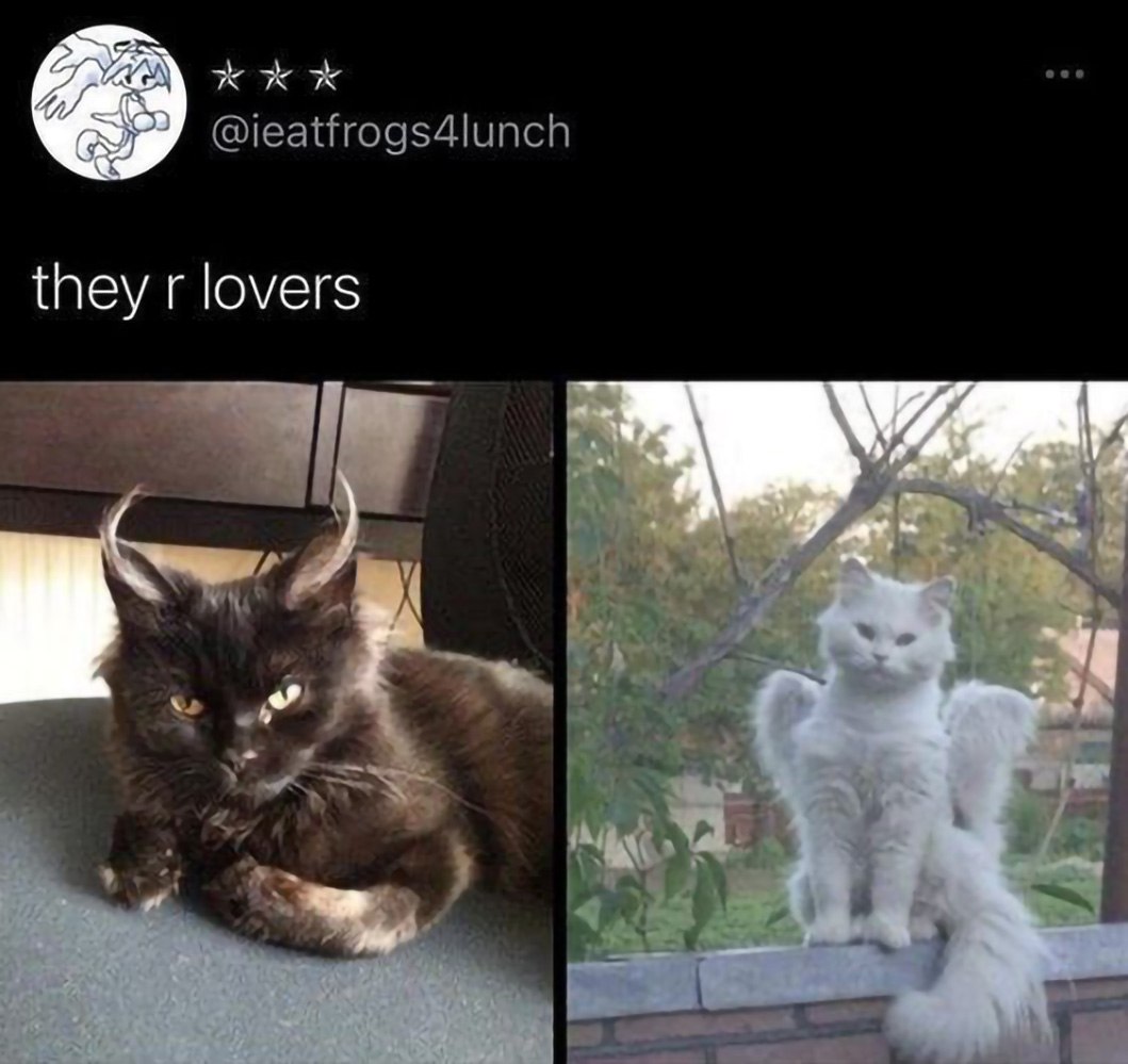 Кот демон и кот ангел Мем с двумя котами, один из которых выглядит как демон, а другой — как ангел. Черный кот лежит на синем кресле, а белый кот сидит на кирпичной стене.