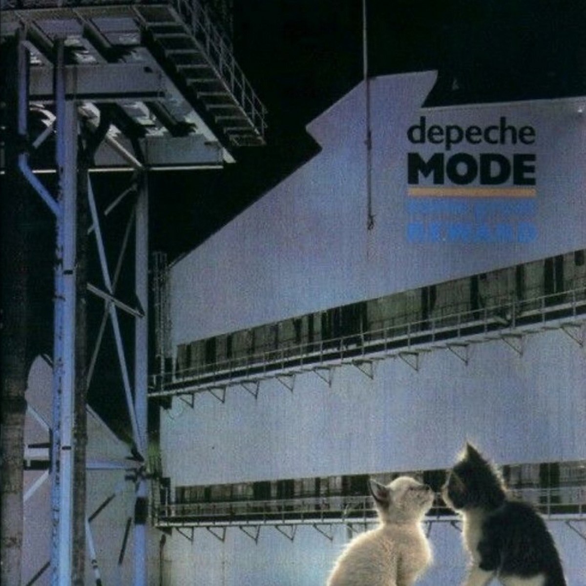 Depeche Mode и котики Depeche Mode и два котенка смотрят друг на друга на фоне здания